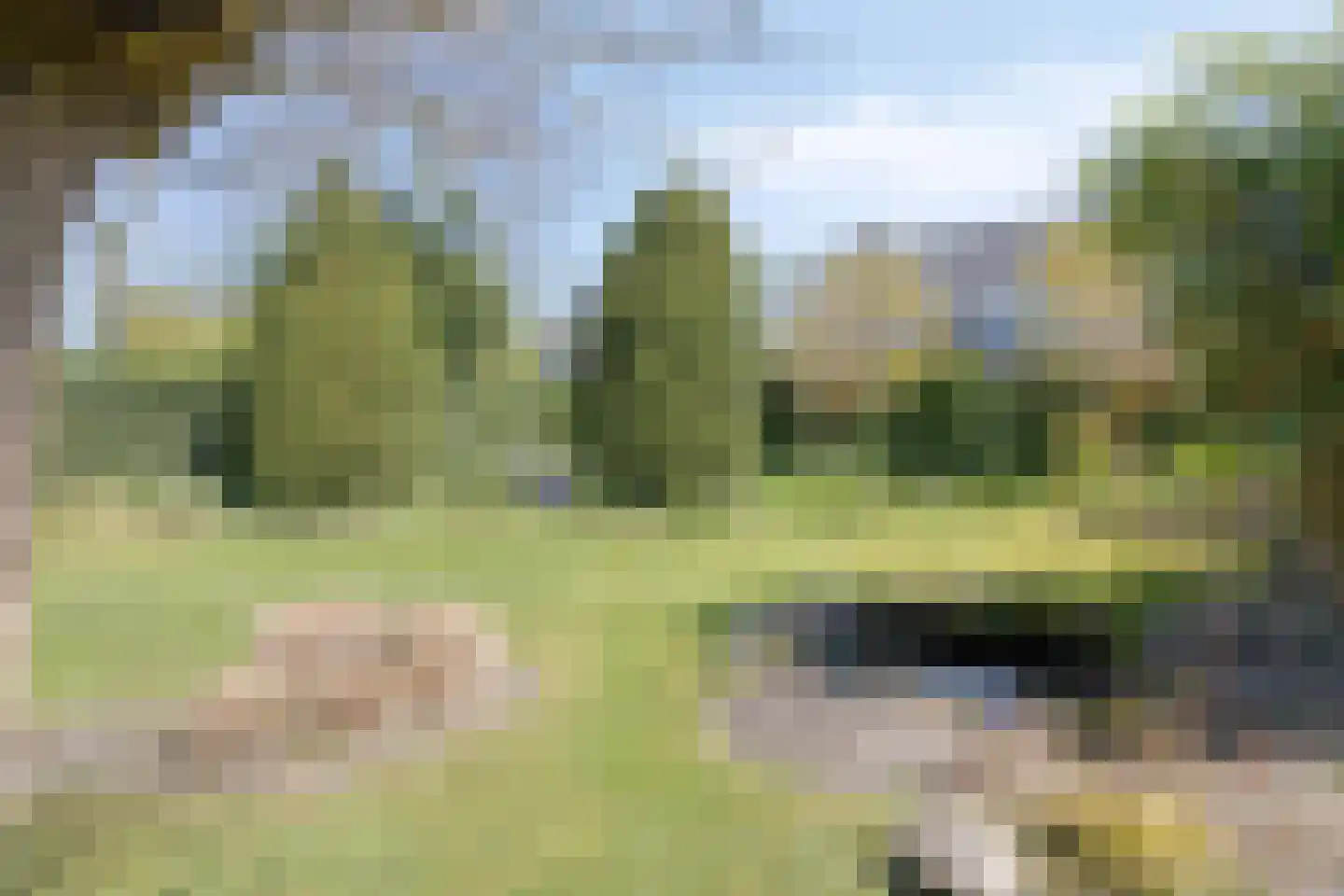 De Weel 69 Hippolytushoef thumbnail 23
