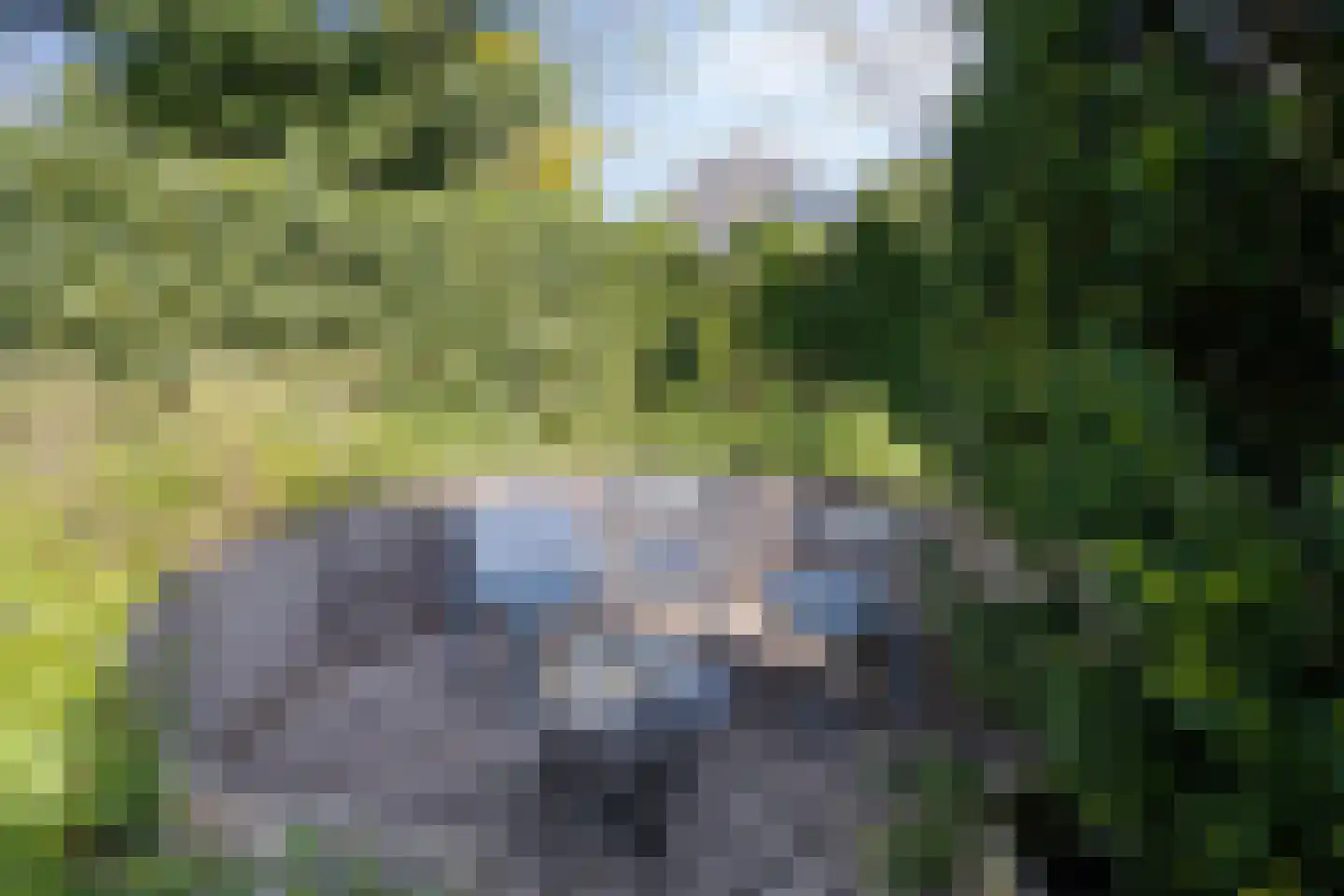 De Weel 69 Hippolytushoef thumbnail 24