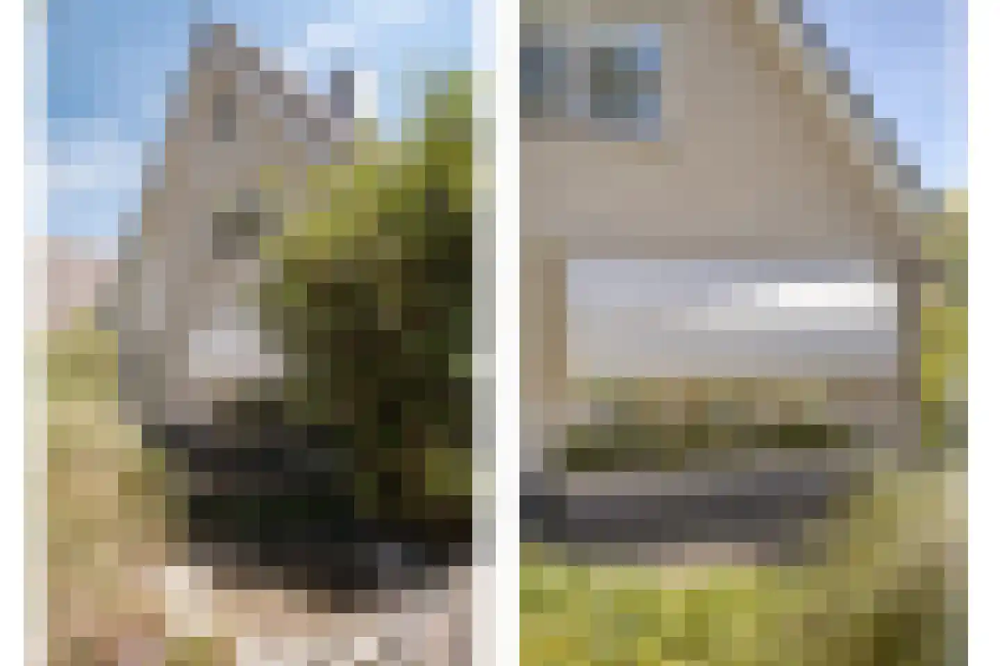 De Weel 69 Hippolytushoef thumbnail 25