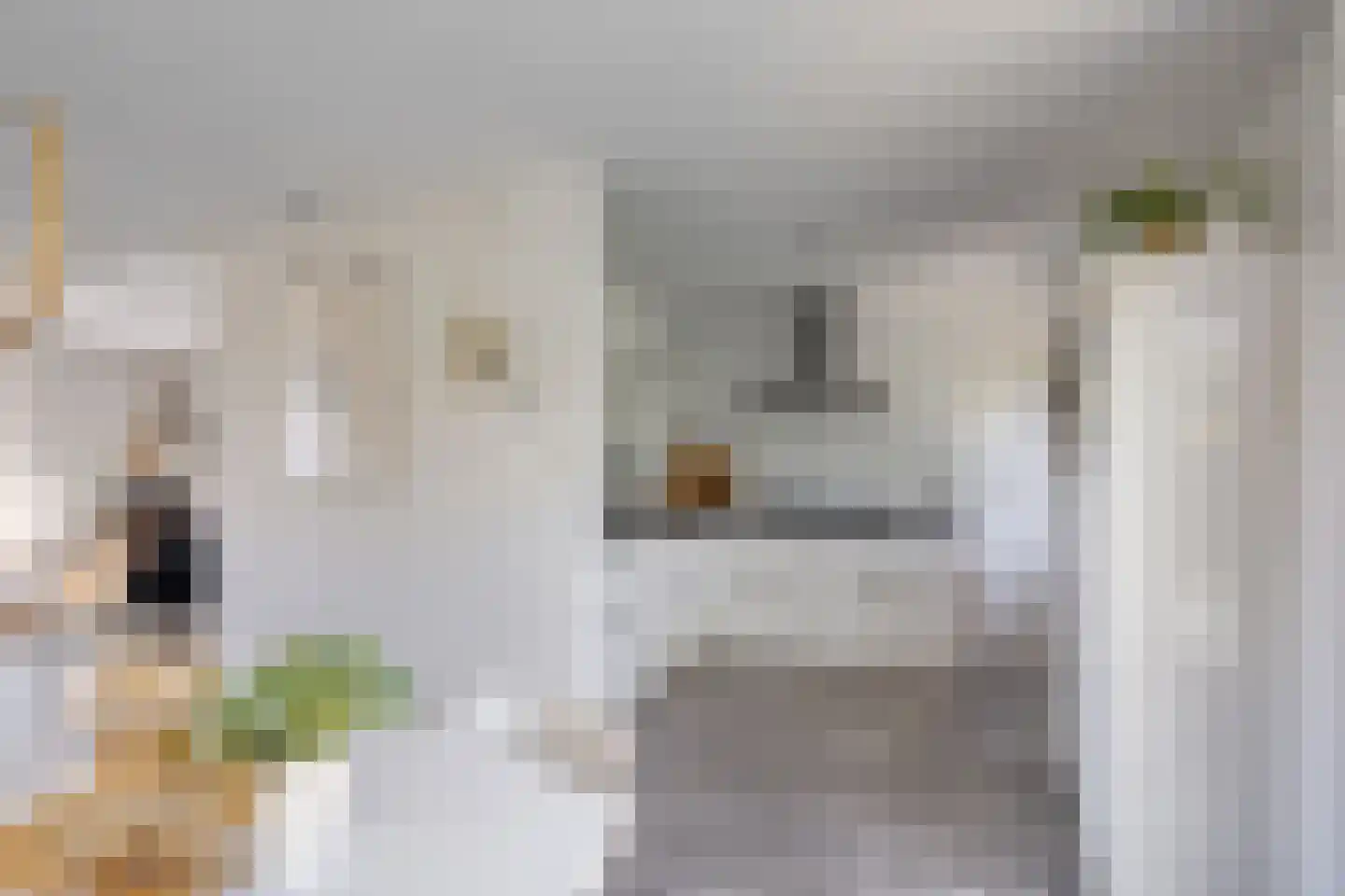 De Weel 69 Hippolytushoef thumbnail 5