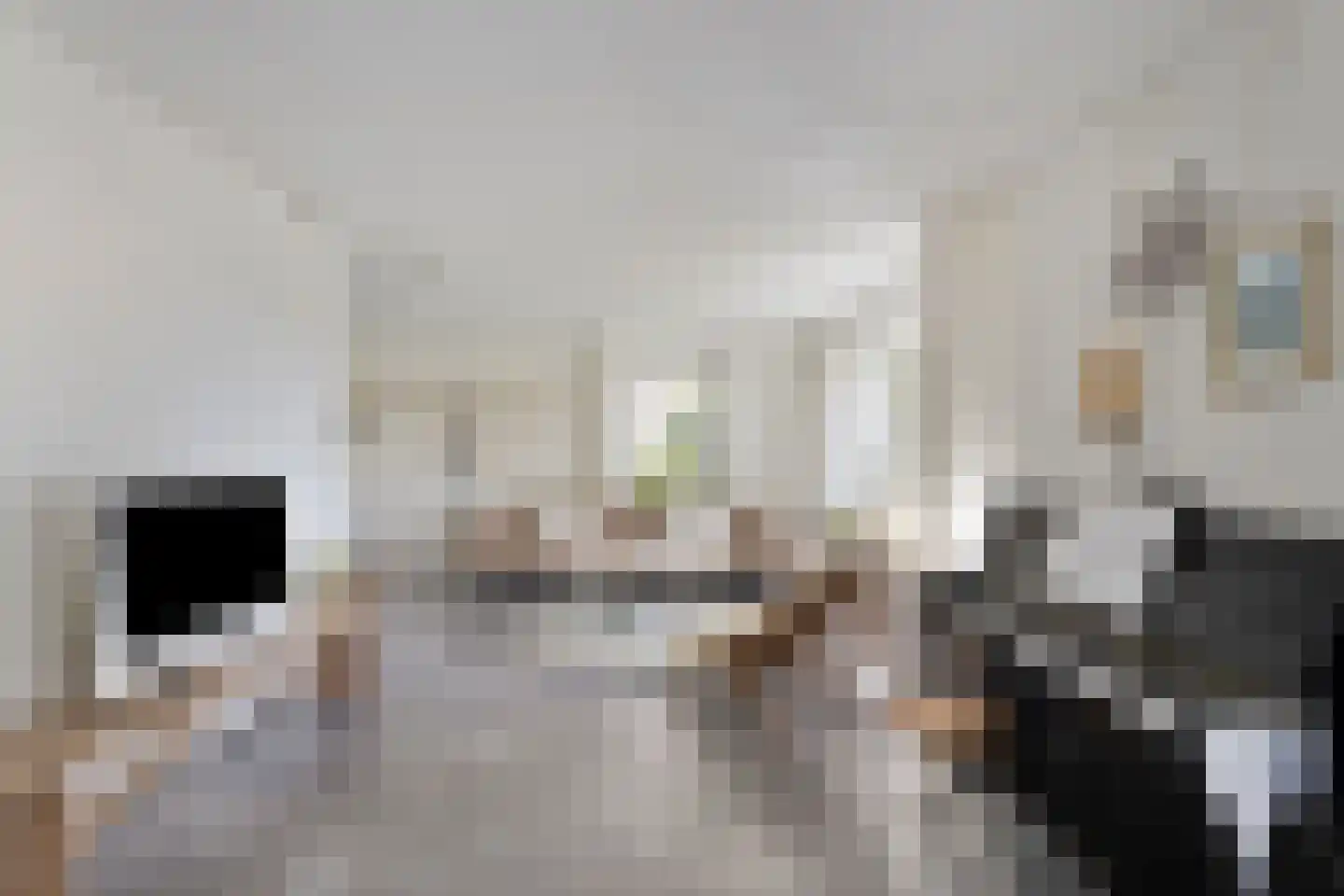 De Weel 69 Hippolytushoef thumbnail 6