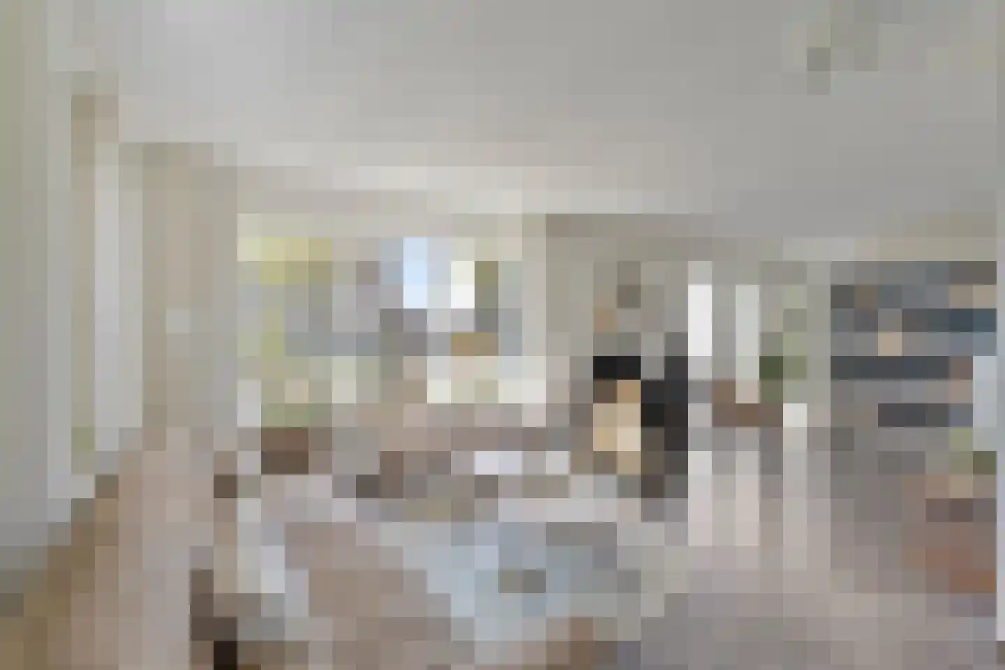 De Weel 69 Hippolytushoef thumbnail 7