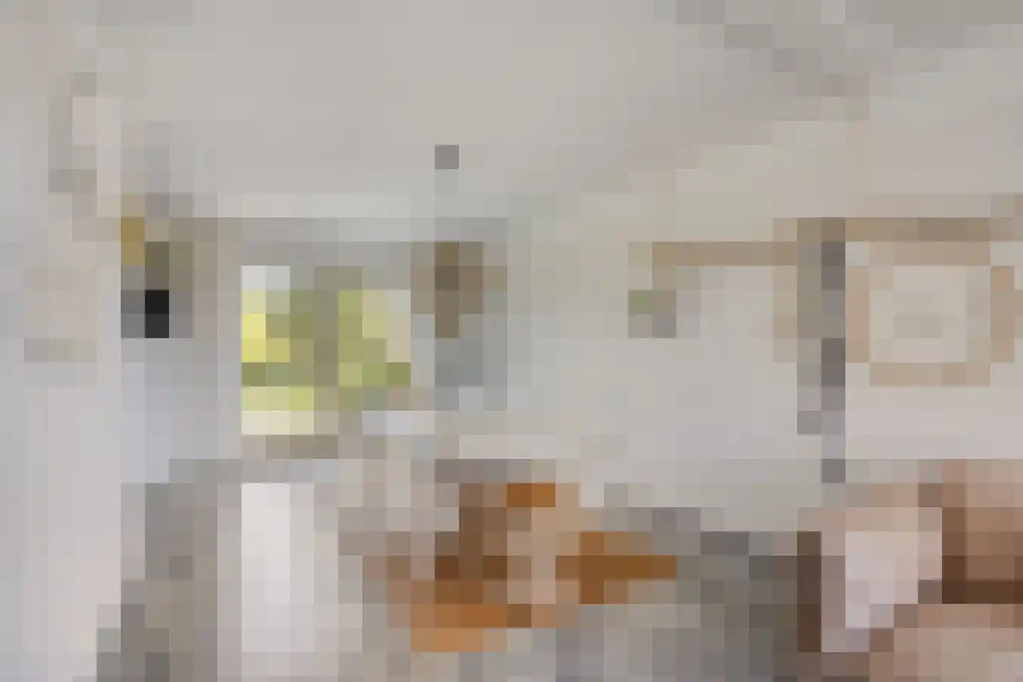 De Weel 69 Hippolytushoef thumbnail 8