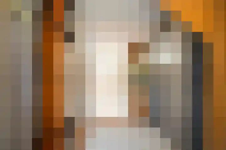 De Weel 91 Hippolytushoef thumbnail 12