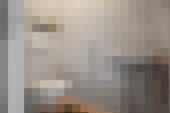 De Weel 91 Hippolytushoef thumbnail 14