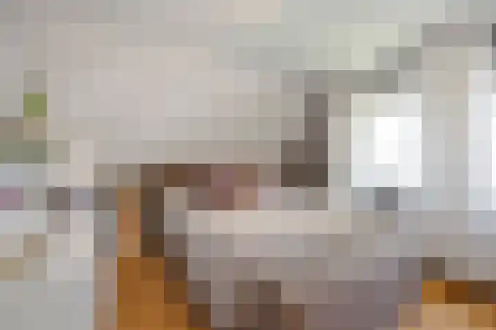 De Weel 91 Hippolytushoef thumbnail 16