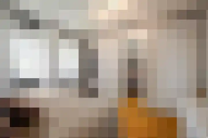 De Weel 91 Hippolytushoef thumbnail 17