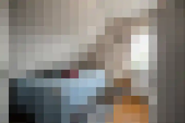 De Weel 91 Hippolytushoef thumbnail 18