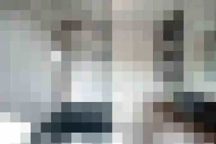 De Weel 91 Hippolytushoef thumbnail 21