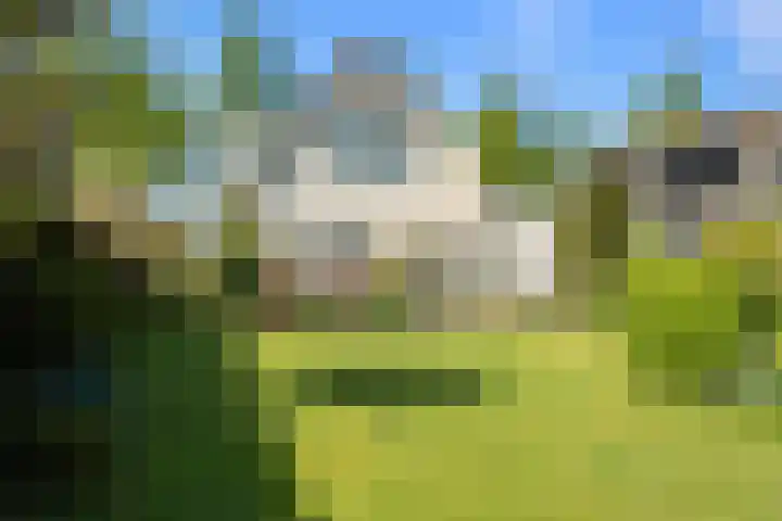 De Weel 91 Hippolytushoef thumbnail 22
