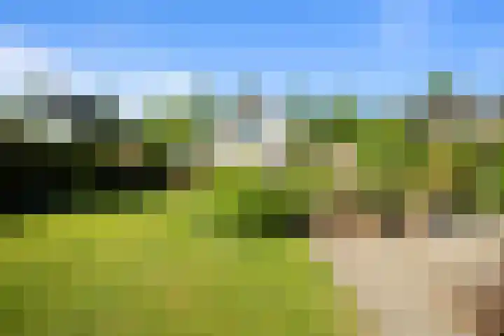 De Weel 91 Hippolytushoef thumbnail 23