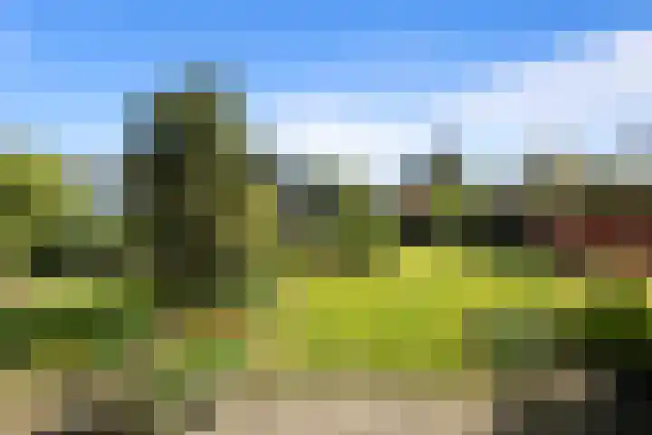 De Weel 91 Hippolytushoef thumbnail 24
