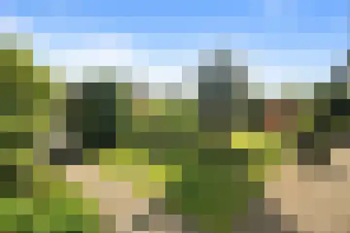 De Weel 91 Hippolytushoef thumbnail 25