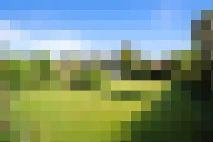 De Weel 91 Hippolytushoef thumbnail 26