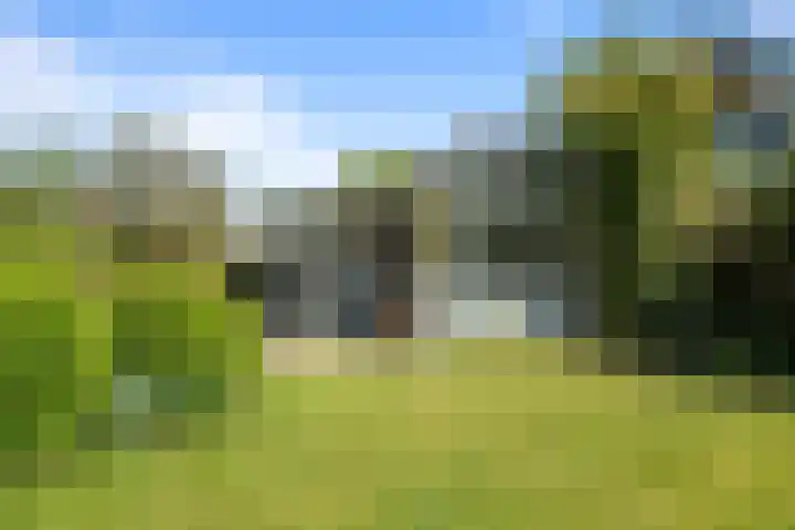 De Weel 91 Hippolytushoef thumbnail 27