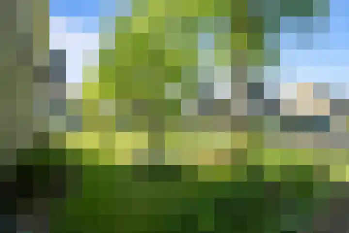 De Weel 91 Hippolytushoef thumbnail 29