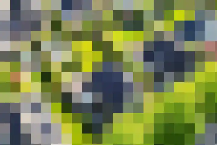 De Weel 91 Hippolytushoef thumbnail 32