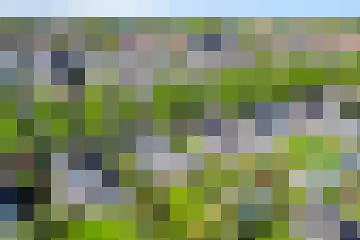 De Weel 91 Hippolytushoef thumbnail 33