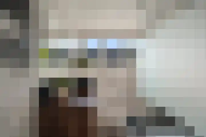 De Weel 91 Hippolytushoef thumbnail 5