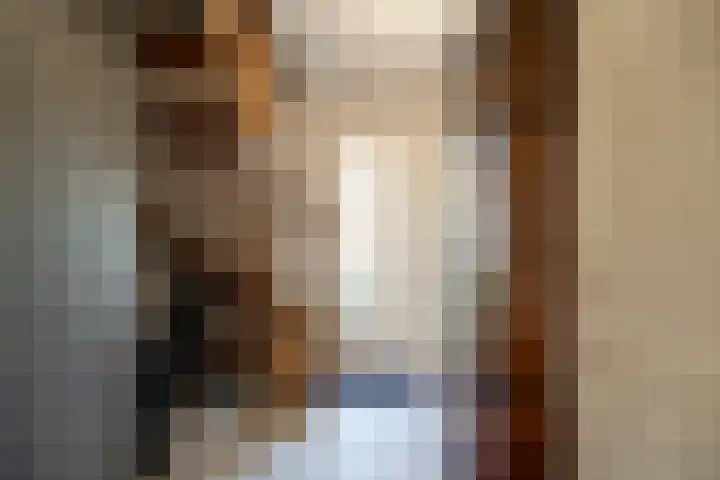De Weel 91 Hippolytushoef thumbnail 6