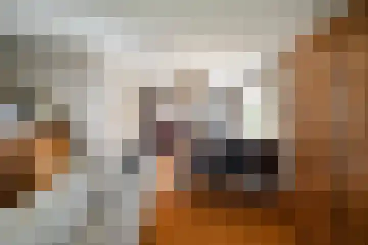 De Weel 91 Hippolytushoef thumbnail 8
