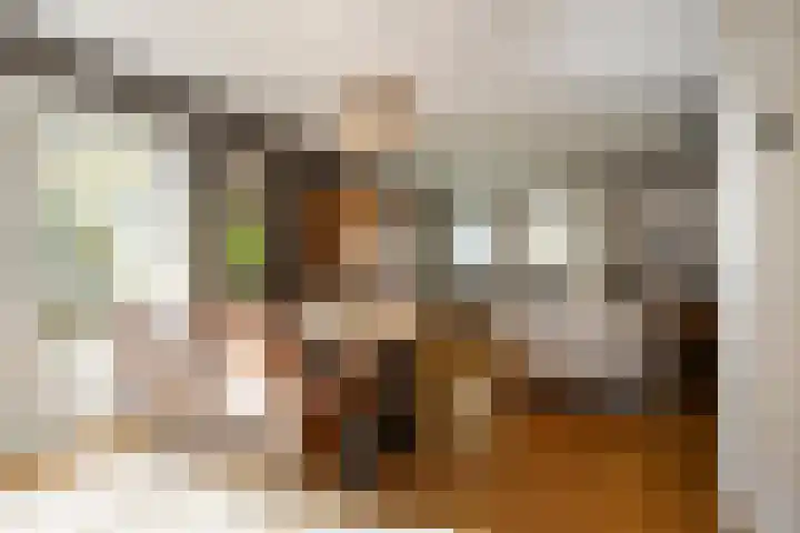 De Weel 91 Hippolytushoef thumbnail 9
