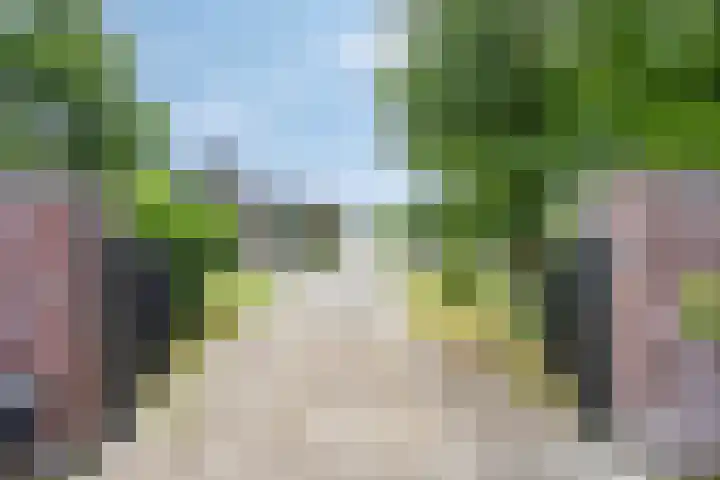 De Weel 97 Hippolytushoef thumbnail 11