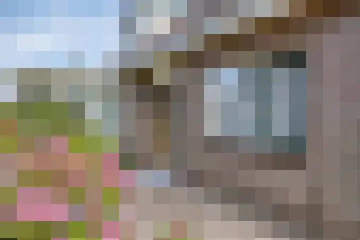 De Weel 97 Hippolytushoef thumbnail 12