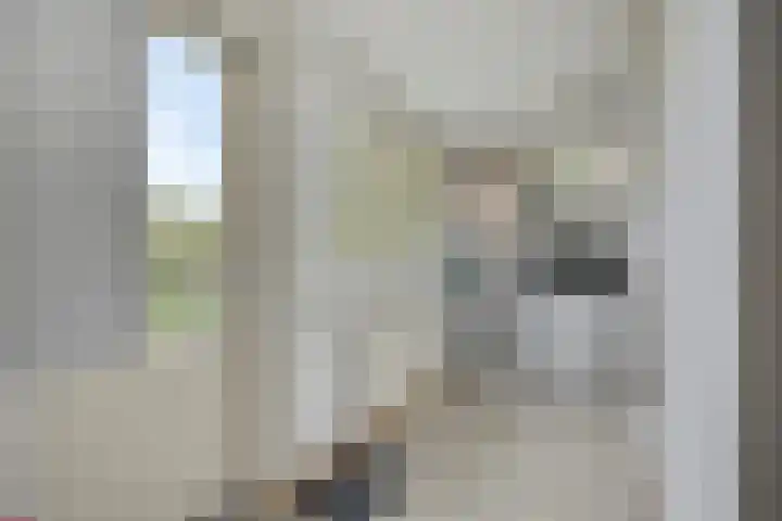 De Weel 97 Hippolytushoef thumbnail 29