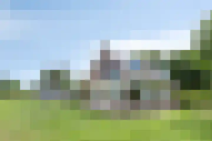 De Weel 97 Hippolytushoef thumbnail 39