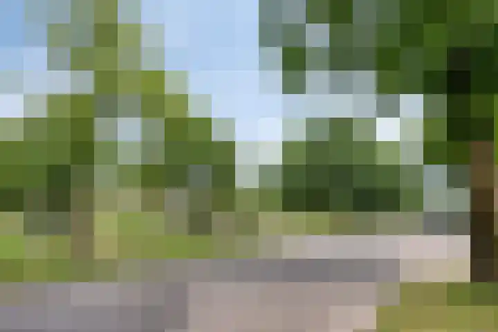 De Weel 97 Hippolytushoef thumbnail 5