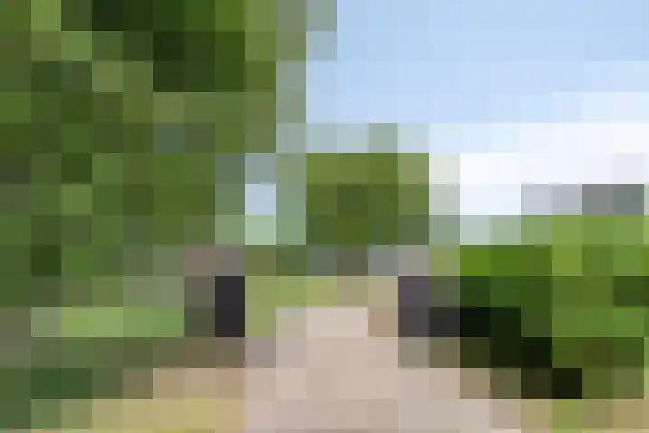 De Weel 97 Hippolytushoef thumbnail 7