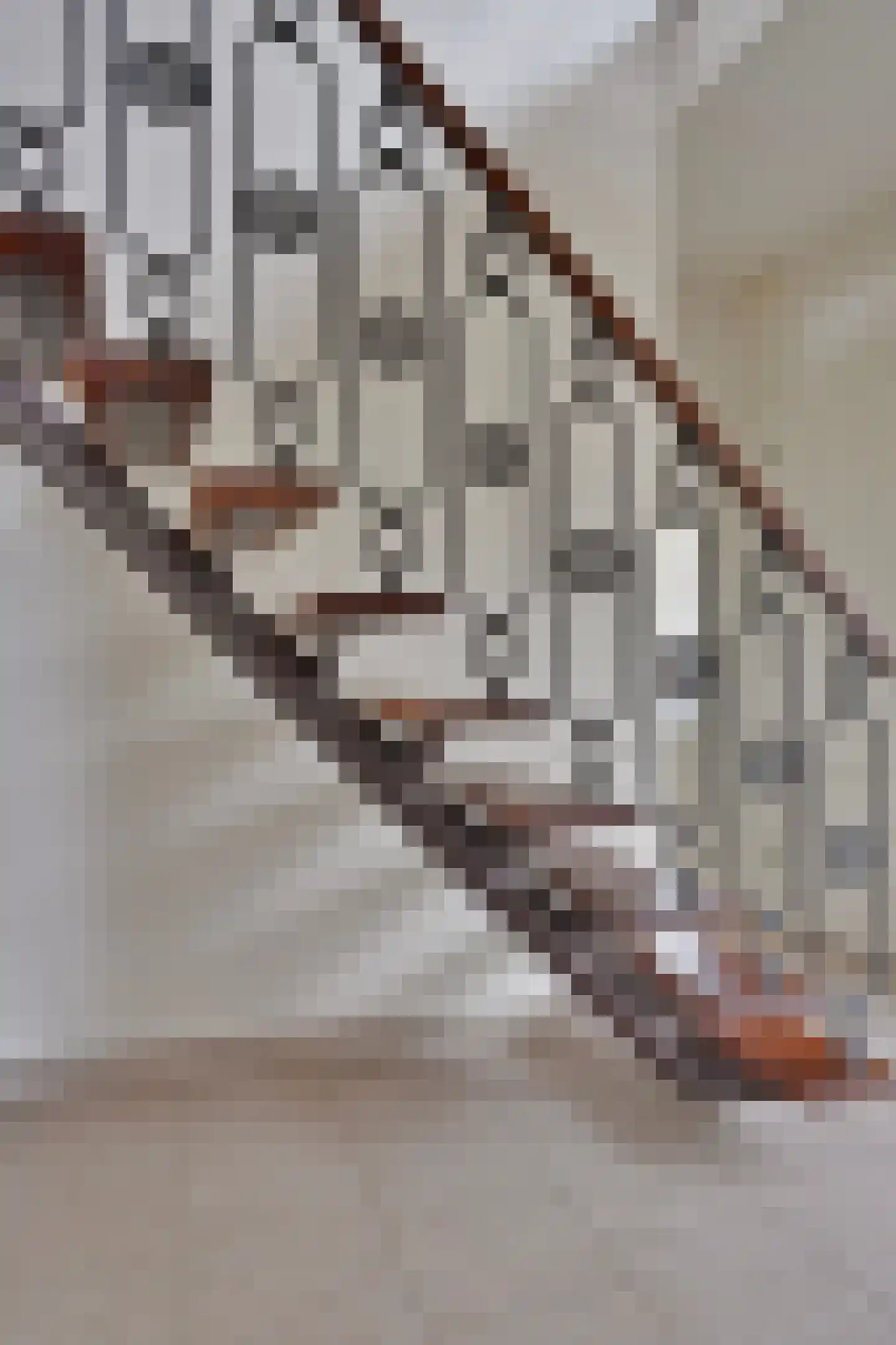 de Weem 15 Broekhuizen thumbnail 11