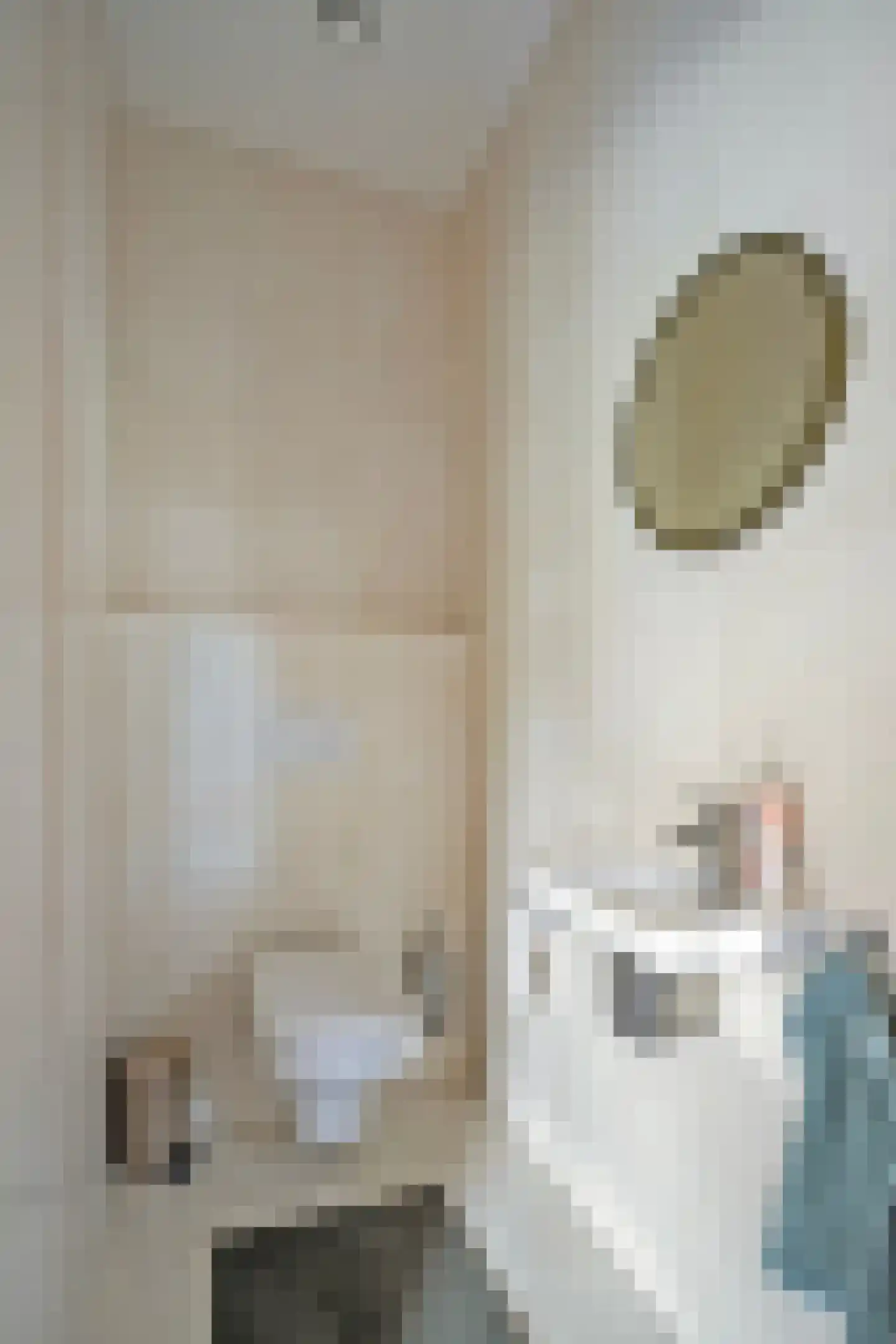 de Weem 15 Broekhuizen thumbnail 12