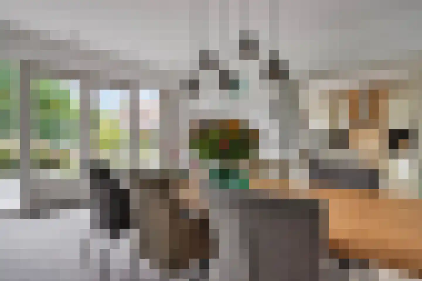 de Weem 15 Broekhuizen thumbnail 18