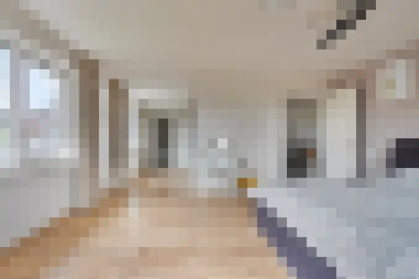 de Weem 15 Broekhuizen thumbnail 35