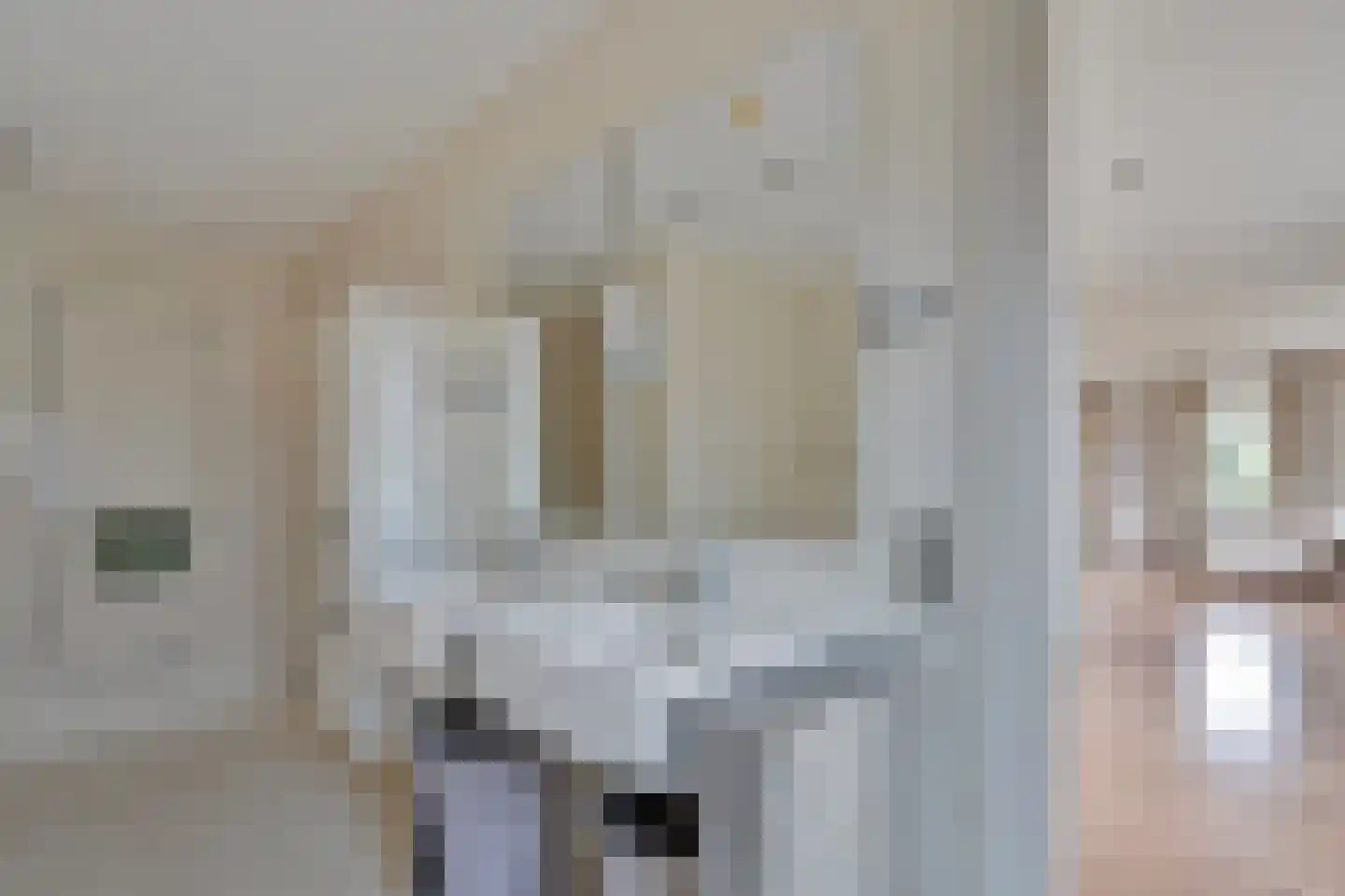 de Weem 15 Broekhuizen thumbnail 37