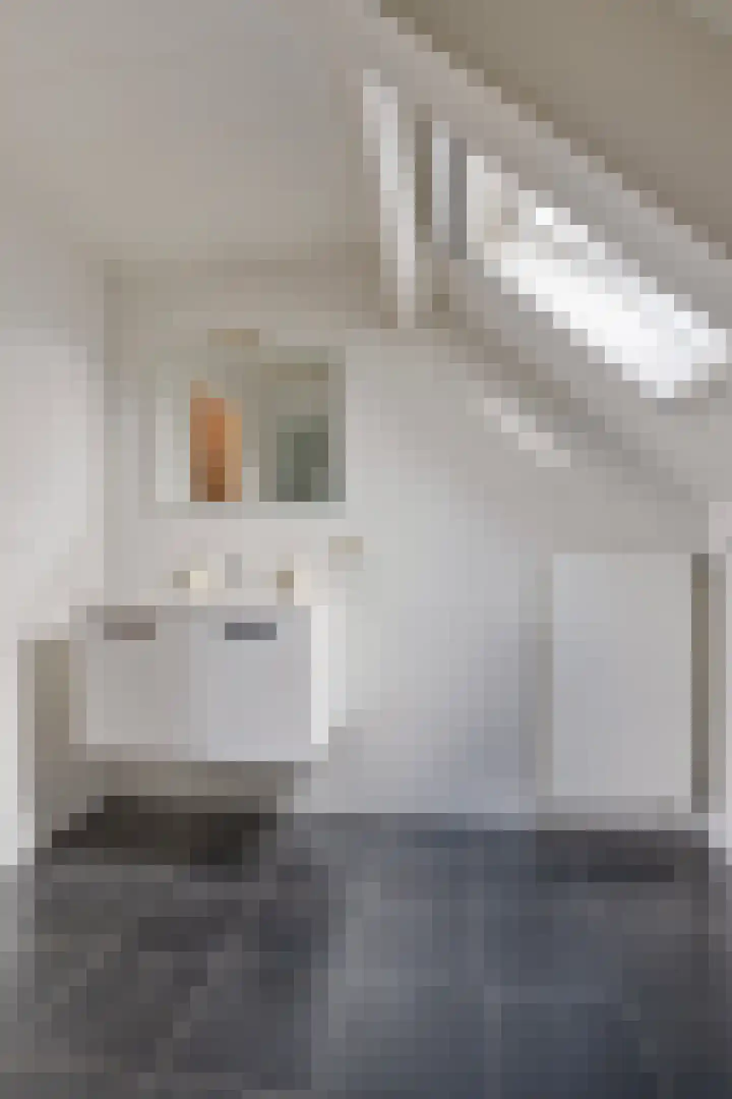 de Weem 15 Broekhuizen thumbnail 50