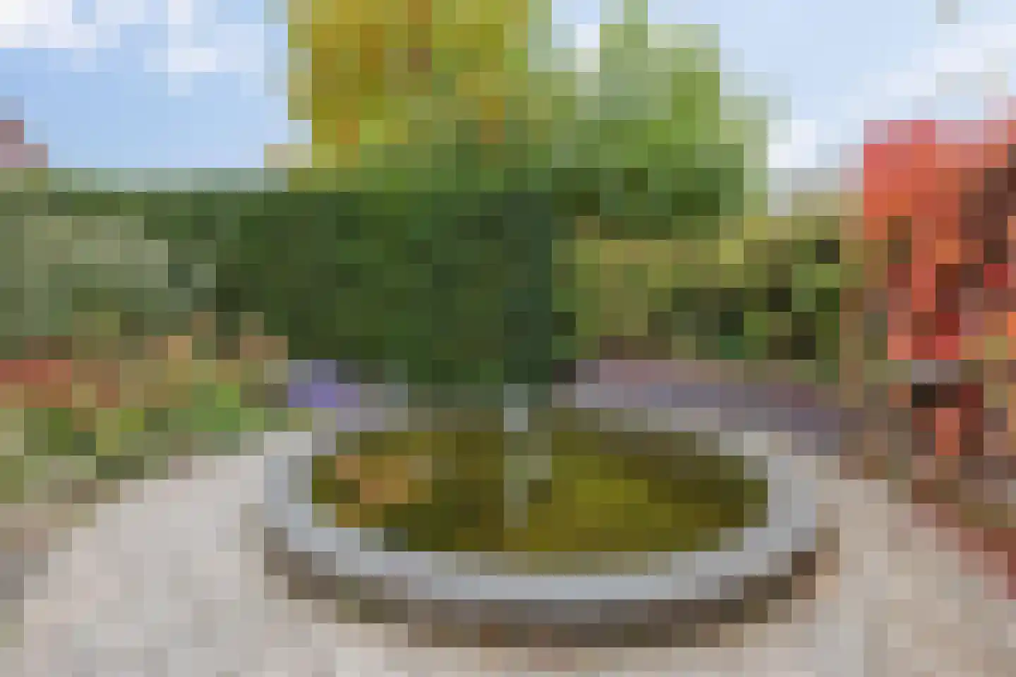 de Weem 15 Broekhuizen thumbnail 54