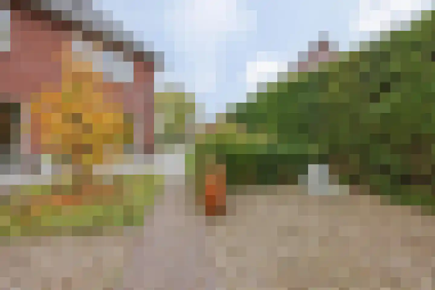 de Weem 15 Broekhuizen thumbnail 55