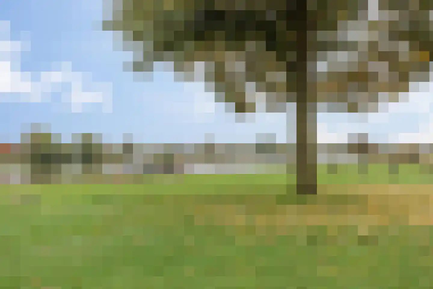 de Weem 15 Broekhuizen thumbnail 61