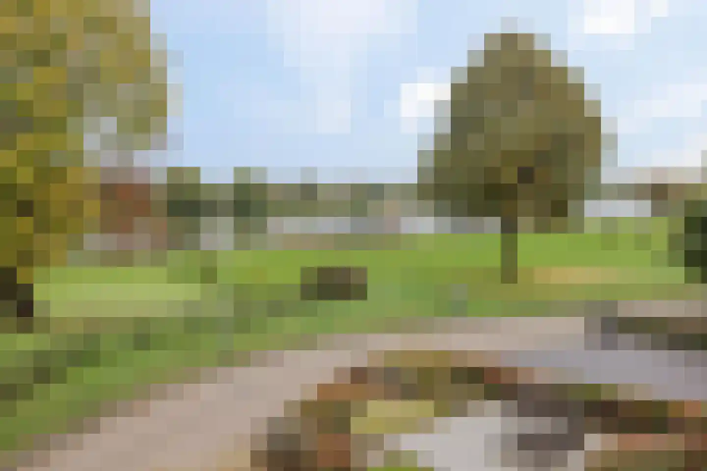 de Weem 15 Broekhuizen thumbnail 62
