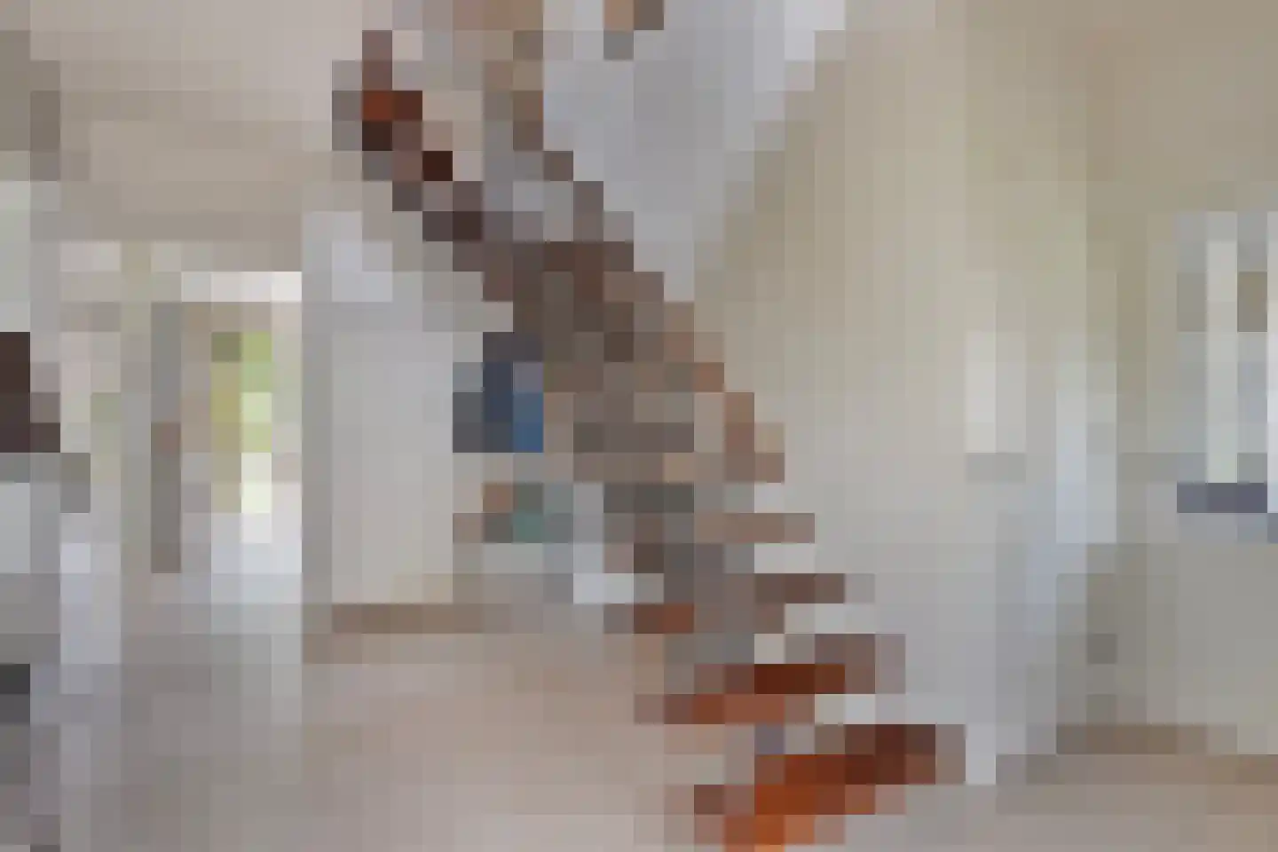 de Weem 15 Broekhuizen thumbnail 8