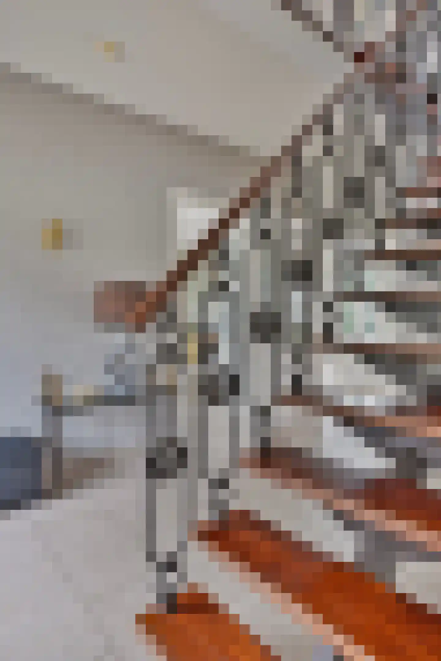 de Weem 15 Broekhuizen thumbnail 9