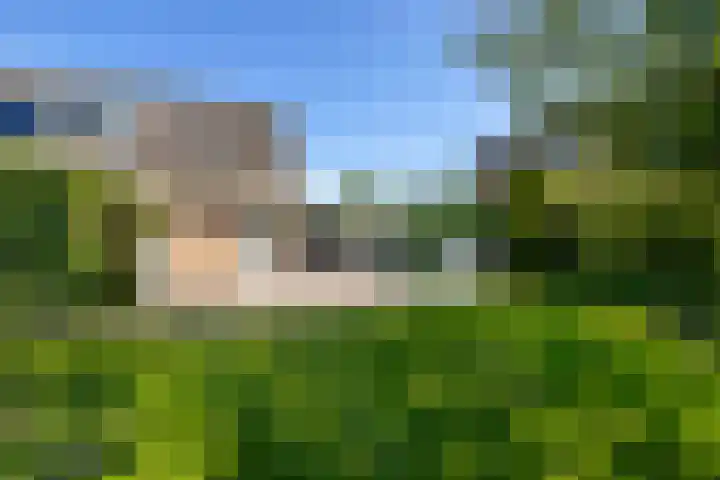 De Weem 2 Westervoort thumbnail 31