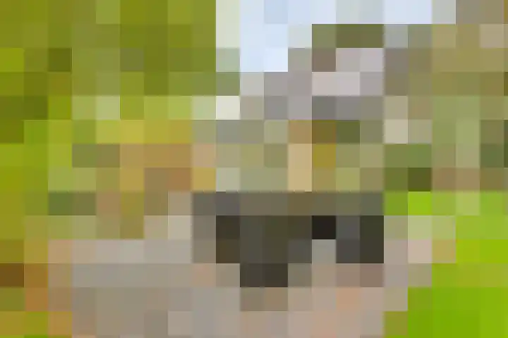 De Weem 2 Westervoort thumbnail 37