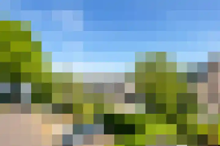 De Weem 2 Westervoort thumbnail 44