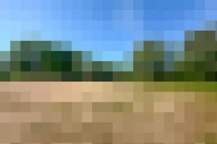 De Weem 2 Westervoort thumbnail 47