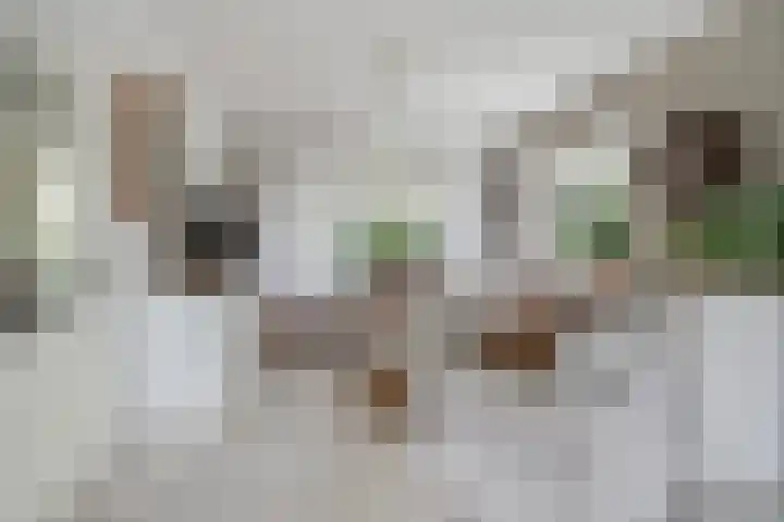 De Weer 106 Zaandam thumbnail 11