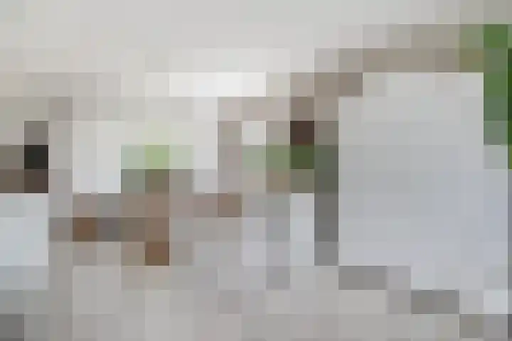 De Weer 106 Zaandam thumbnail 12
